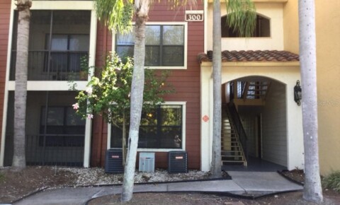 Apartments Near Regency Beauty Institute-Carrollwood Charming 1BD/1BTH Ground Level Condo in St Pete for Regency Beauty Institute-Carrollwood Students in Tampa, FL