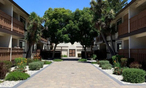 Apartments Near Santa Clara Andalusia San Jose for Santa Clara University Students in Santa Clara, CA
