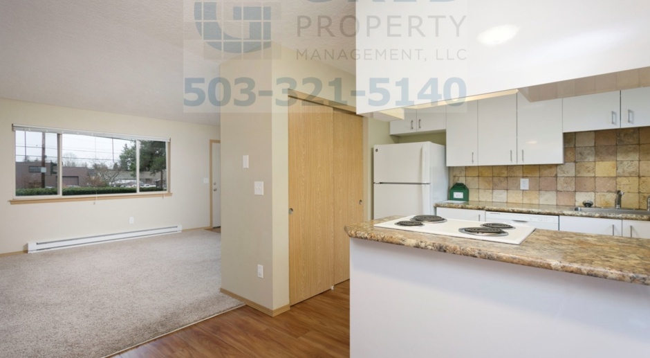 Newly Remodeled 2 Bedroom Apartment in Mt. Tabor