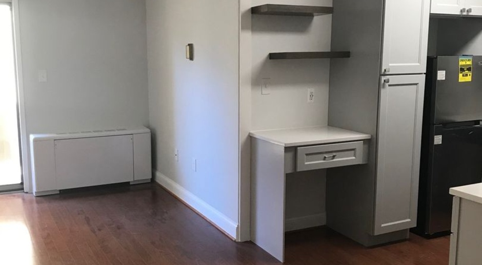 Newly Renovated Studio - UTILITIES INCLUDED Near National Zoo