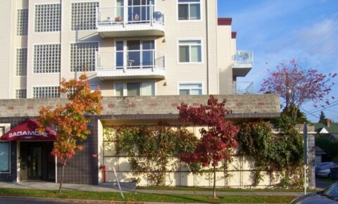 Apartments Near Seattle Ideal Location! Spacious 2-Bed, 1-Bath apartment in the Heart of U-District.  for Seattle Students in Seattle, WA