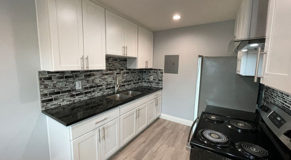 Completely Remodeled 1 Bedroom 1 Bath Campbell Apartment Just Steps from Whole Foods!