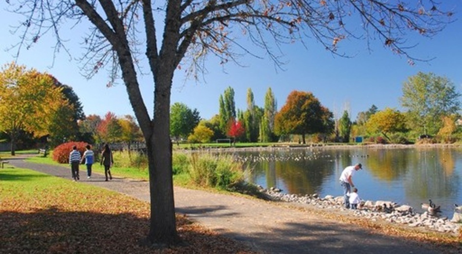 Peaceful Park Lake
