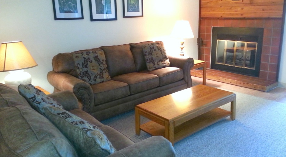 COZY FURNISHED CONDO BY THE RIVER - PERFECT FOR SHORT STAYS!