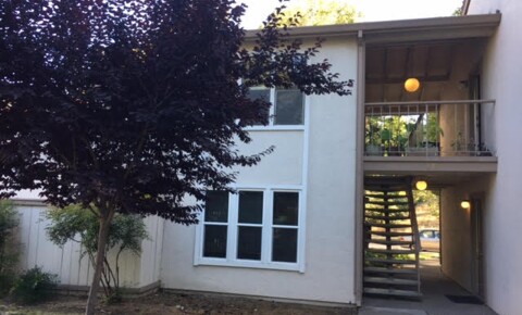 Houses Near Pleasant Hill Charming 2 Bedroom, 1 Bathroom in Pleasant Hill! for Pleasant Hill Students in Pleasant Hill, CA