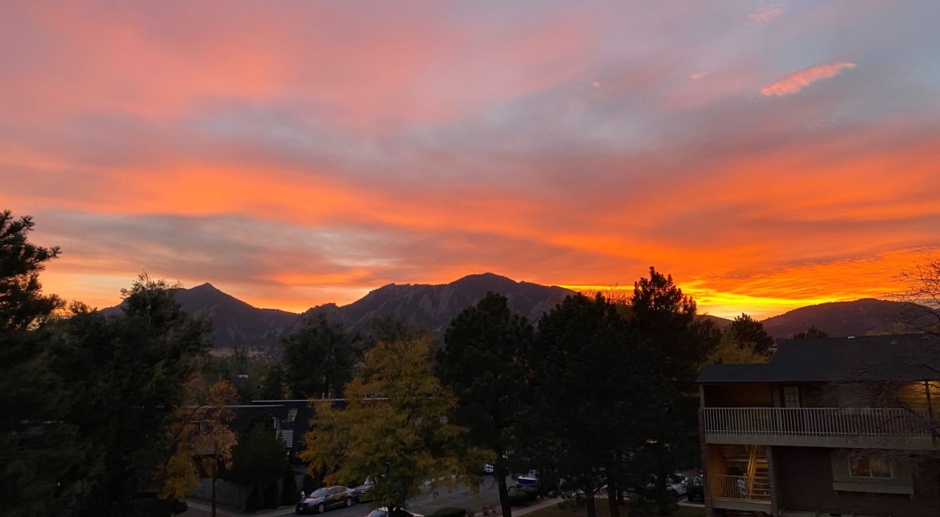 1 bedroom apartment with mountain view for rent in Boulder