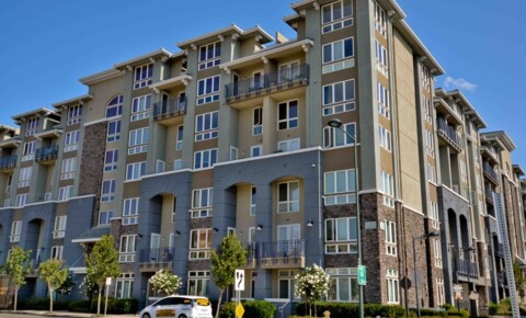 Houses Near Golden State College of Court Reporting Perfect Shape Executive Condo next to Dublin Bart Station COMING SOON for Golden State College of Court Reporting Students in Pleasanton, CA