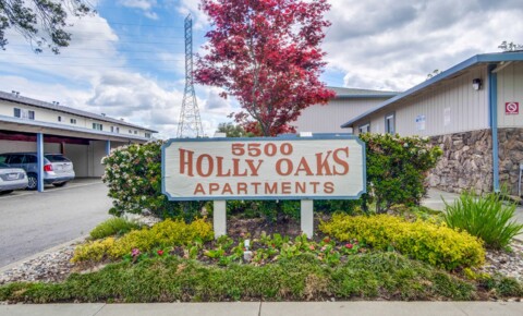 Apartments Near Santa Clara 344 // Holly Oaks Apartments for Santa Clara Students in Santa Clara, CA