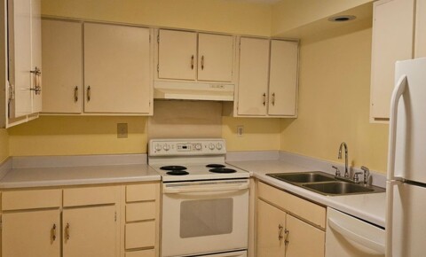 Apartments Near USC Beautiful Highrise 2 bed 2 bath for University of South Carolina Students in Columbia, SC