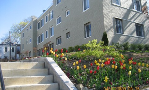 Apartments Near WAU T Street Apartments for Washington Adventist University Students in Takoma Park, MD