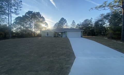 Houses Near Withlacoochee Technical Institute Brand New 4 Bedroom Available in Citrus Springs! for Withlacoochee Technical Institute Students in Inverness, FL