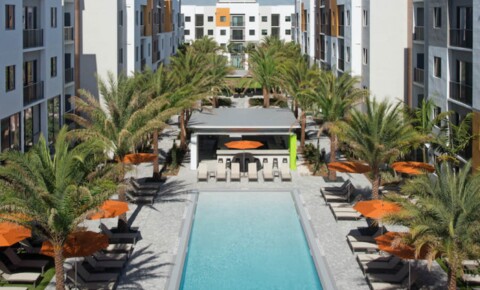 Apartments Near Everest UNIVERSITY PARK Summer Term Rental for Everest University Students in Pompano Beach, FL