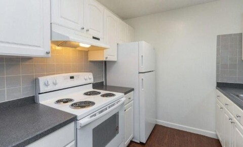 Apartments Near Clark 13 Brookside Avenue for Clark University Students in Worcester, MA