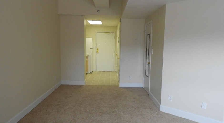 1 Bedroom Apartment in Downtown Athens - Steps Away From UGA Campus 