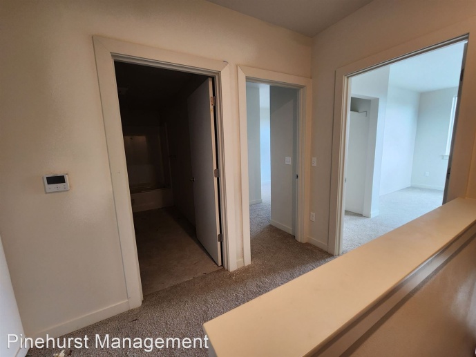 Brand New and Spacious! W|S|G Paid W|D in each unit