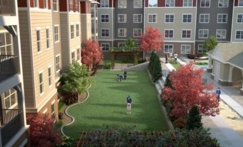 Apartments Near MSU Haven12 for Mississippi State University Students in Starkville, MS