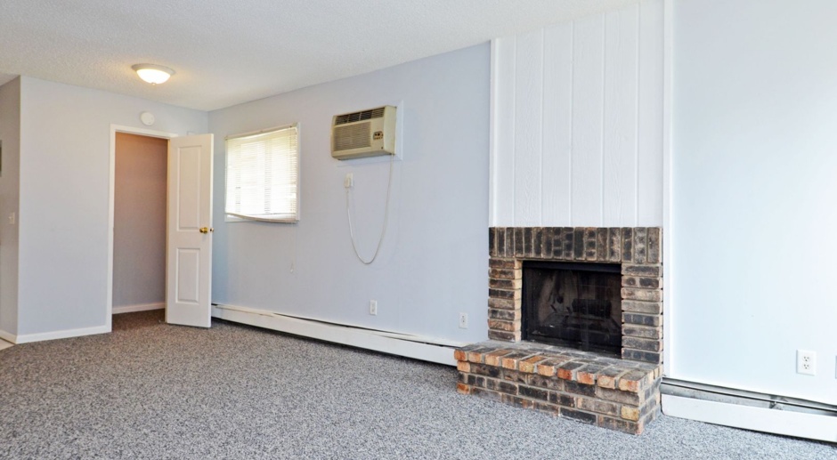 Spacious 2 Bed/1 Bath Condo in Brooklyn Park - Available NOW!