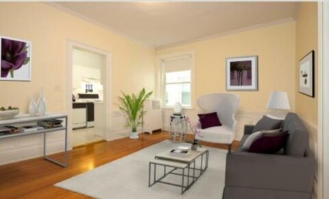 Apartments Near Curry 111 Kilsyth Road for Curry College Students in Milton, MA