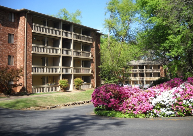 Apartments Near **AVAILABLE NOW** Spacious 1/1 within walking distance to campus and downtown!