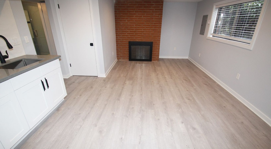 FULLY RENOVATED 1 BED, 1 BATH BELLEVUE HOME AVAILABLE NOW!