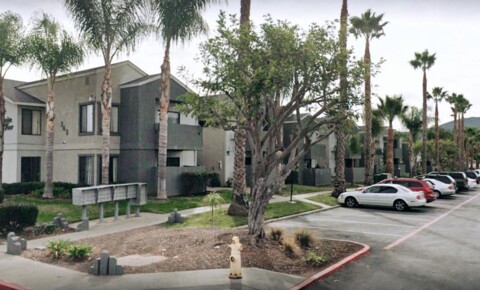 Apartments Near Kaplan College-Vista Mission View Apts for Kaplan College-Vista Students in Vista, CA