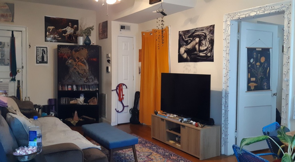 Spacious Two Bedroom Located in The Museum District