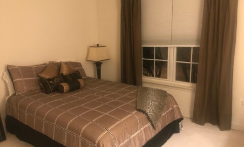 University Of Maryland Room For Rent College Student