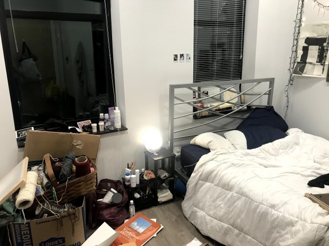 March - June Room Sublet Downtown